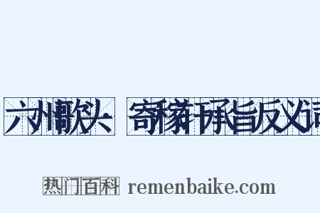 六州歌头·寄稼轩承旨反义词是什么意思的图片